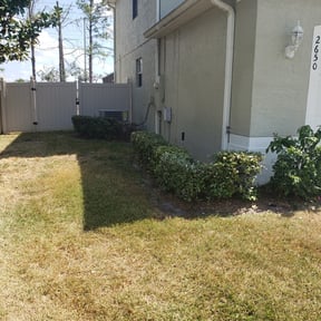 Bush Trimming by Impressive Lawns reviewed on August 18, 2025