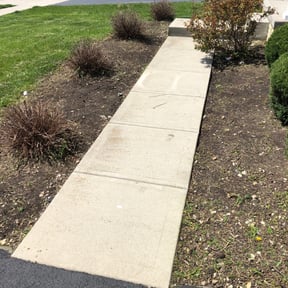 Flower Bed Weeding by Trappery reviewed on August 19, 2025
