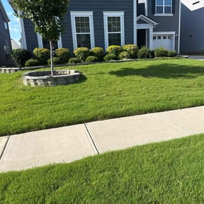 Bush Trimming by David&#039;s Landscaping reviewed on November 10, 2025