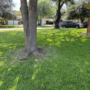yard maintenance by Green land reviewed on August 16, 2025