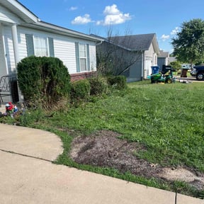 Bush Trimming by GC Lawn Care &amp; Landscaping Services reviewed on December 11, 2025