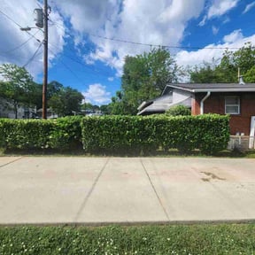 Bush Trimming by King of Lawn Care LLC reviewed on August 17, 2025