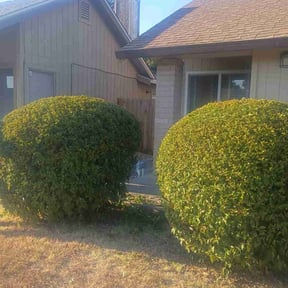 Bush Trimming by Crl Inc. reviewed on December 18, 2025