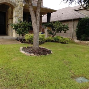 yard work by To The Rescue Landscaping and Hurricane Clean Up reviewed on August 19, 2025