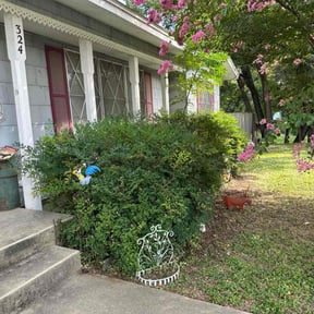 Bush Trimming by QuikkScap LawnCare reviewed on August 15, 2025