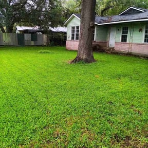 gardening service by Cut's Lawn and Hauling reviewed on June 8, 2022