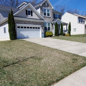 Bush Trimming by W. D. Giampa Lawn & Landscapes, INC. reviewed on August 19, 2025