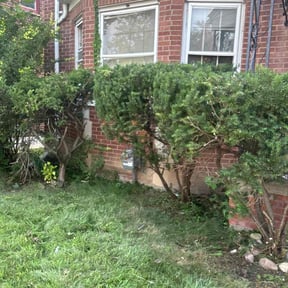 Bush Trimming by ASAIC Mowing Service LLC reviewed on August 18, 2025