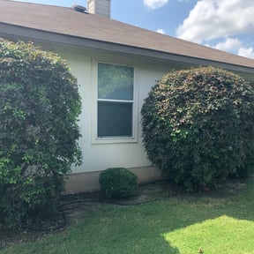 Bush Trimming by Local Green Lawn Care LLC reviewed on August 18, 2025