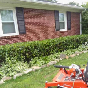 Bush Trimming by RC Lawn Maintenance reviewed on August 21, 2025