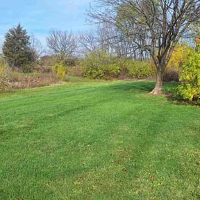 lawn care by IM Landscape And LawnCare Services reviewed on April 12, 2024