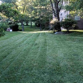 turf maintenance by Tater&#039;s Lawn Care reviewed on July 10, 2025