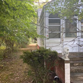 Bush Trimming by Fresh Cut Lawn Care & Property Services, LLC reviewed on August 15, 2025