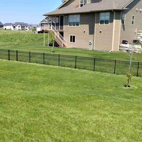 yard service by Dayaris Landscaping &amp;  Pressure Washing LLC reviewed on August 19, 2025
