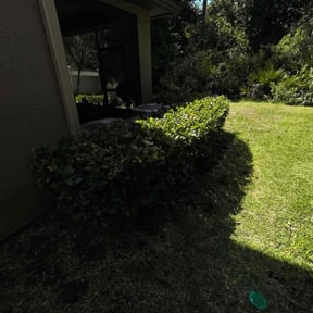 Bush Trimming by Lawn Sons Landscape Services reviewed on August 15, 2025