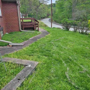 Leaf Removal by ALL Lawn Care reviewed on July 1, 2026