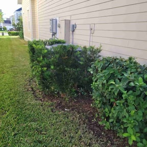 Bush Trimming by Stars and Stripes lawn service LLC reviewed on November 24, 2025