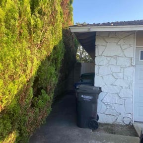 Bush Trimming by Mid-Atlantic Home Maintenance reviewed on August 20, 2025