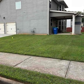 yard work by Ortega lawn services LL reviewed on August 19, 2025