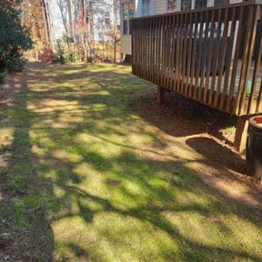 Leaf Removal by Achieving the dream llc reviewed on November 21, 2025