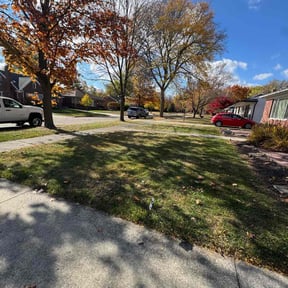 Leaf Removal by William Thomas Lawn Service reviewed on November 9, 2025