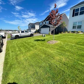 yard maintenance by Bigshotlawns reviewed on November 24, 2025