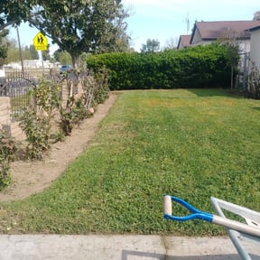 Bush Trimming by Scrapcuts LawnCare reviewed on August 18, 2025
