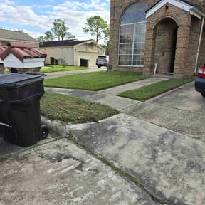 yard maintenance by CJ'S LAWN & SNOW reviewed on August 16, 2025
