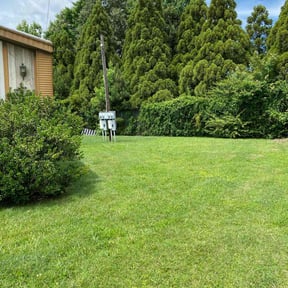 yard maintenance by Hd landscape reviewed on August 19, 2025