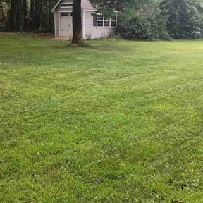 yard work by Oak Landscaping reviewed on August 19, 2025