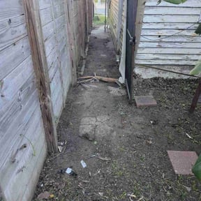 Bush Trimming by Shine rite reviewed on January 22, 2026