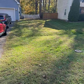 Leaf Removal by S n j general reviewed on November 9, 2025