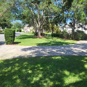 yard work by Troys lawn & maintenance reviewed on August 15, 2025