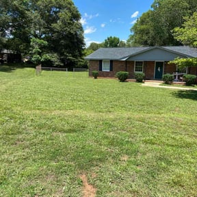 grass maintenance by A Step Above Lawn Care LLC reviewed on June 29, 2023