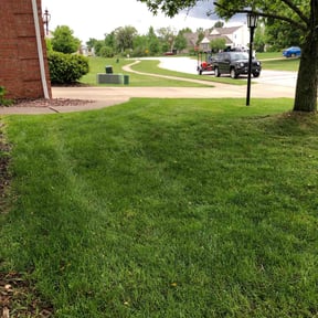 yard work by Greater Cleveland Landscaping reviewed on August 19, 2025