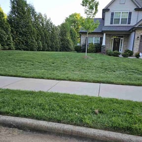 yard work by Top Notch Washing and Lawn Care reviewed on August 21, 2025