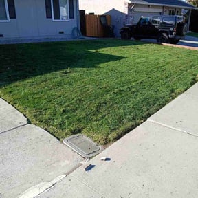 lawn maintenance by Reliable Landscape Management reviewed on May 12, 2024
