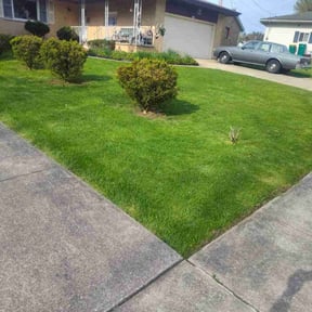 lawn care by Banda Landscaping reviewed on October 31, 2023