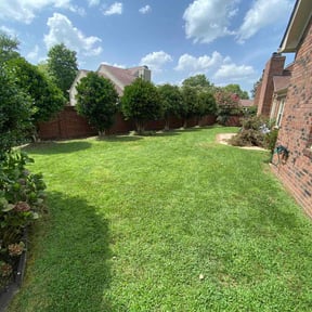 turf care by F&amp;R Lawn Stars reviewed on December 3, 2023