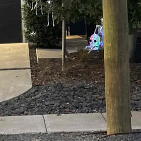 Flower Bed Weeding by Unlimited Lawn Care reviewed on November 9, 2025