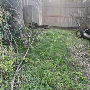 Bush Trimming by Clean Money construction &amp; landscaping reviewed on August 24, 2026