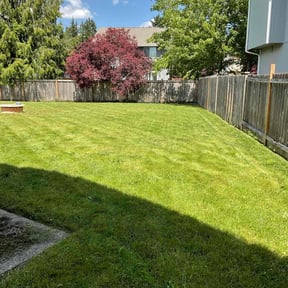 gardening service by Joseph Fullner reviewed on August 16, 2025