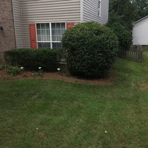 Bush Trimming by CUT Tulsa Lawn Co. reviewed on August 16, 2025