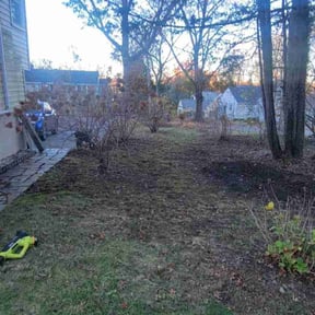 Leaf Removal by HK Handyman and Lawn reviewed on November 22, 2025