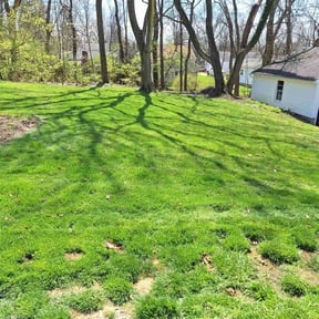 gardening service by MY Landscaping & Lawn Care reviewed on August 19, 2025