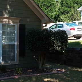 Bush Trimming by Reyes lawcare reviewed on August 16, 2025
