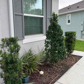 Bush Trimming by Friendly Lawn Services reviewed on July 11, 2026