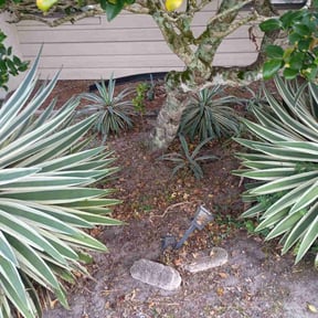 Flower Bed Weeding by Scott Pepperman Home Repair and Lawn Care reviewed on November 19, 2025