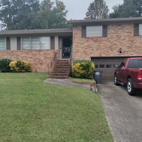 Bush Trimming by Pete's Lawncare reviewed on August 19, 2025