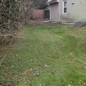 Cleanups by Contreras Outdoors reviewed on March 19, 2025